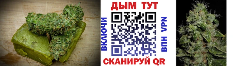 Cannafood конопля Волжск