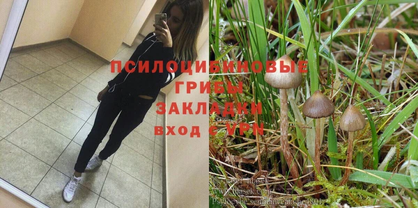 спайс Беломорск