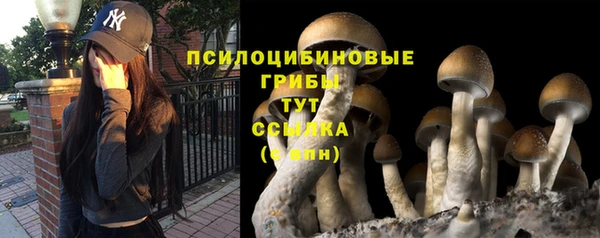 apvp Белоозёрский