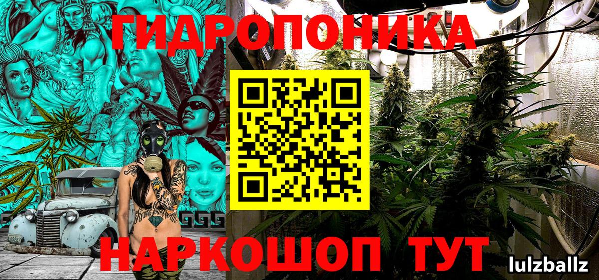 Волжск  Марихуана гибрид  Шишки марихуана индика  Конопля Bruce Banner  Марихуана тримм  Вход с VPN 